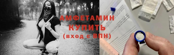 индика Балабаново