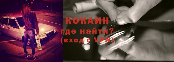 индика Балабаново