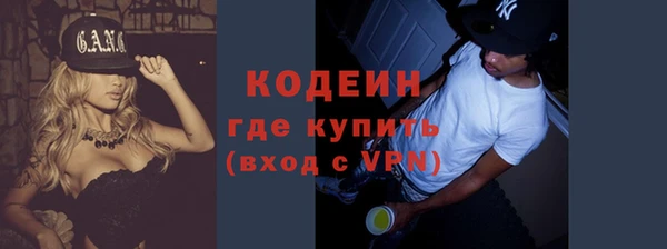 индика Балабаново