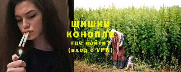 индика Балабаново