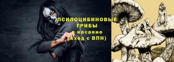 ПСИЛОЦИБИНОВЫЕ ГРИБЫ Балахна