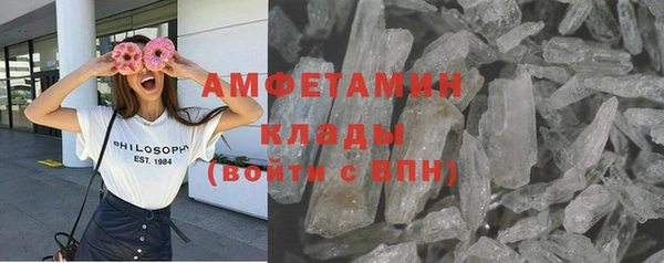 индика Балабаново