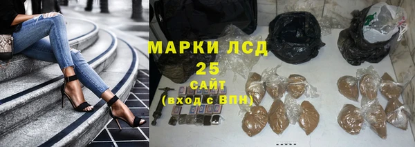 индика Балабаново