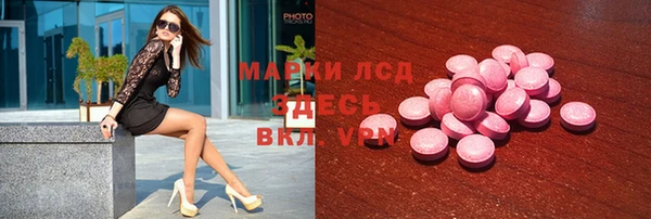 индика Балабаново