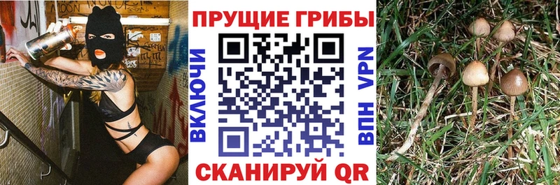 Псилоцибиновые грибы MAGIC MUSHROOMS Коломна