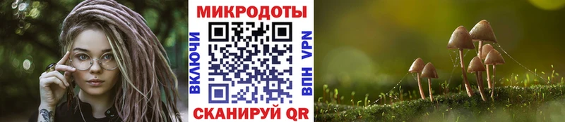 Псилоцибиновые грибы Cubensis  цена   Коломна 