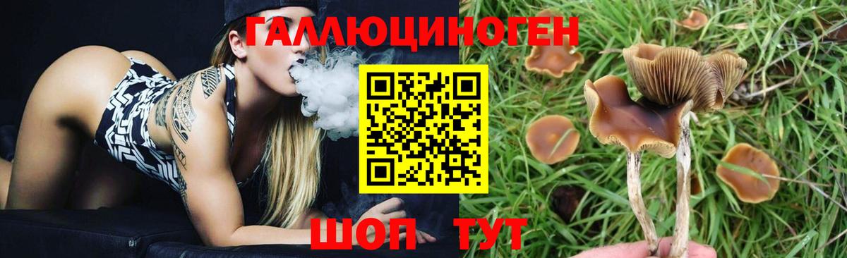 Коломна  Псилоцибиновые грибы ЛСД  Вход с VPN 